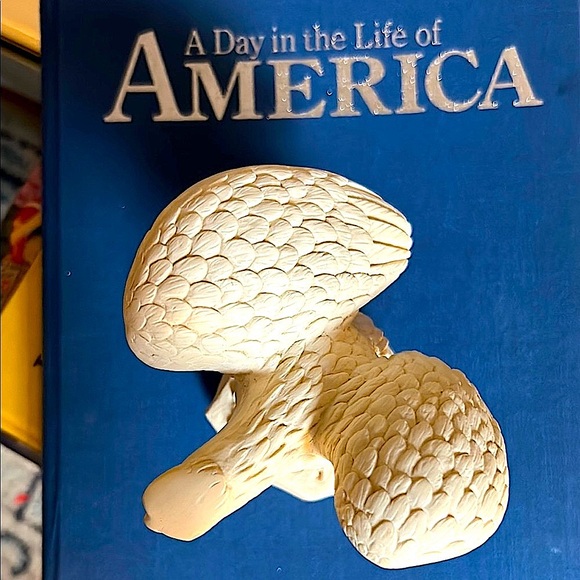 Vintage Bald Eagle Sculpture – Hand-Carved, Patriotic Americana Elegant Decor - Picture 10 of 15